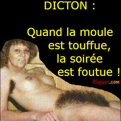 Dicton du soir