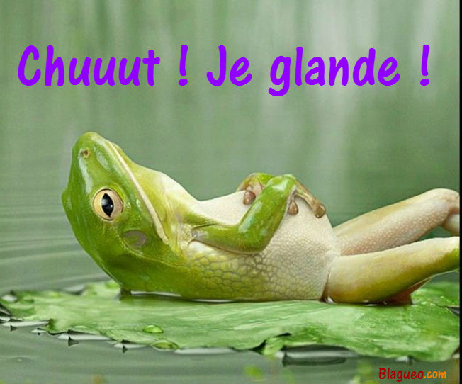 Grenouille glandeuse