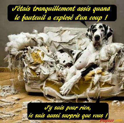 j'y suis pour rien
